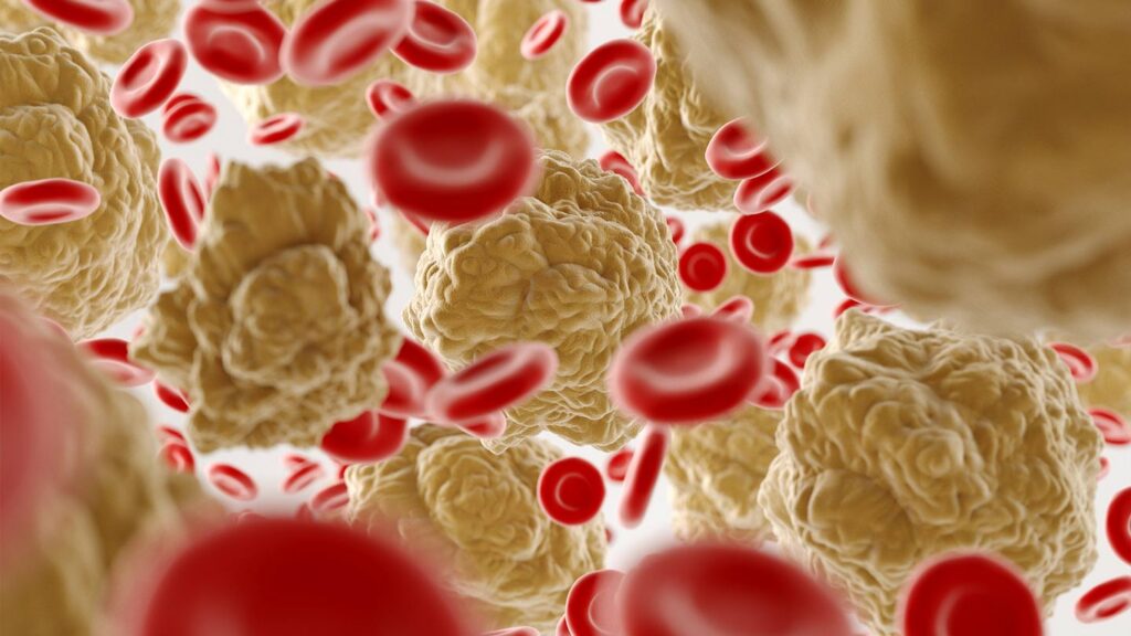 3D illustration of red blood cells and cholesterol particles in blood, illustrating LDL under 70 targets and cholesterol care in older adults