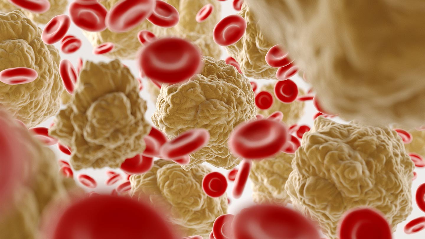 3D illustration of red blood cells and cholesterol particles in blood, illustrating LDL under 70 targets and cholesterol care in older adults